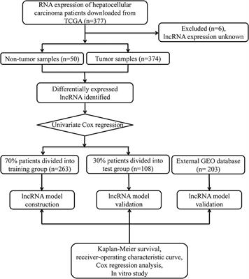 Identification and Validation of a Prognostic lncRNA Signature for Hepatocellular Carcinoma